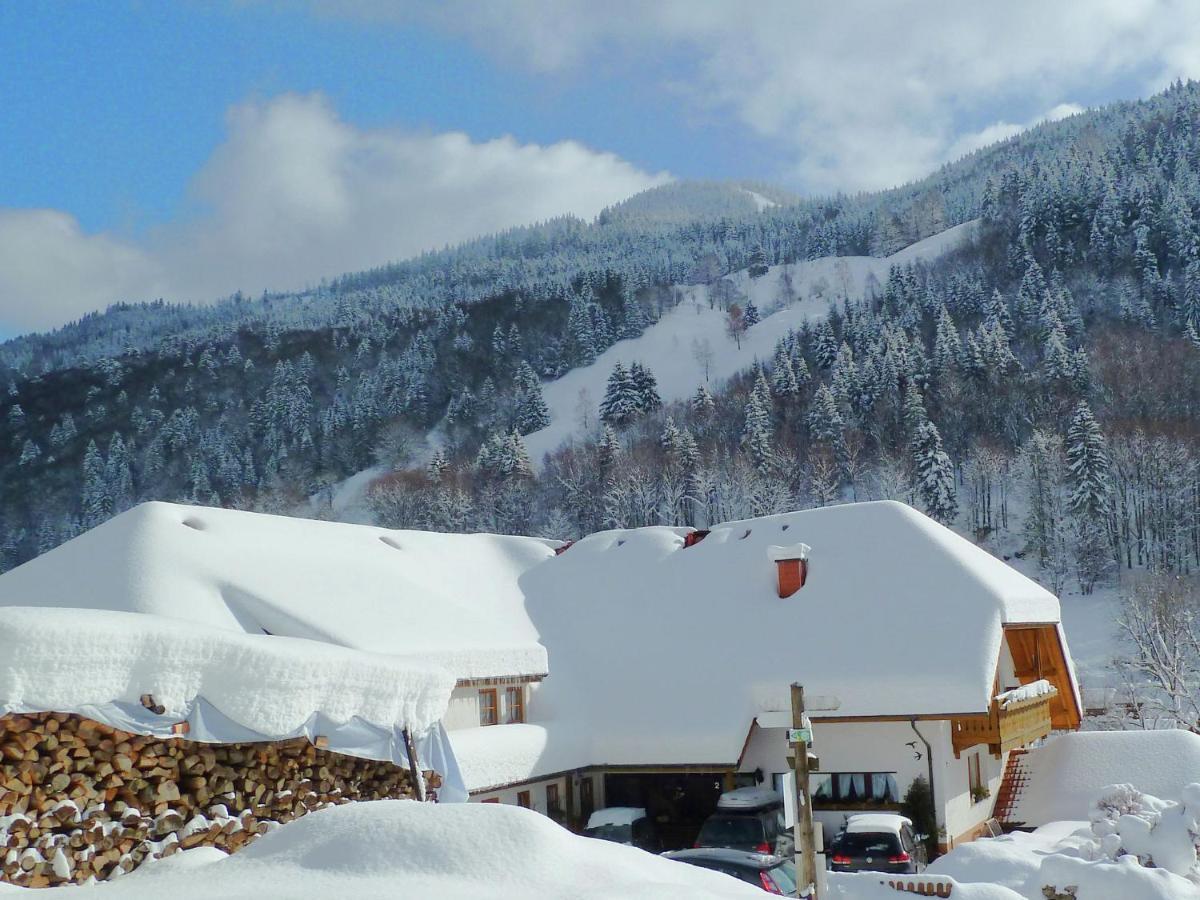 Apartment In Brandenberg With Terrace Todtnau Bilik gambar