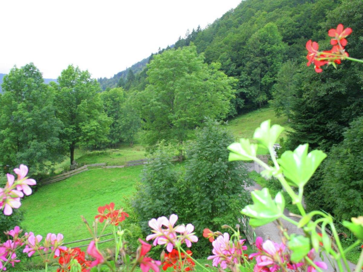 Apartment In Brandenberg With Terrace Todtnau Bilik gambar